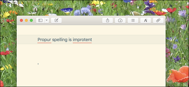 powerpoint for mac spell check not working